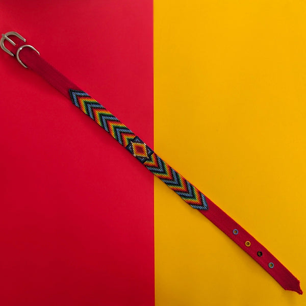Electric Rainbow Dog Collar