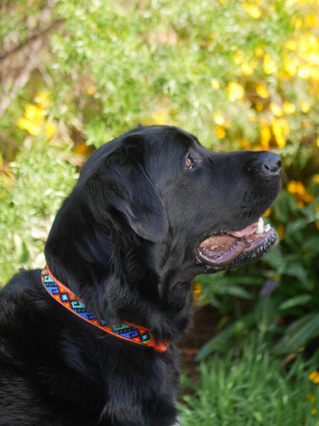 Tribal Sunrise Dog Collar