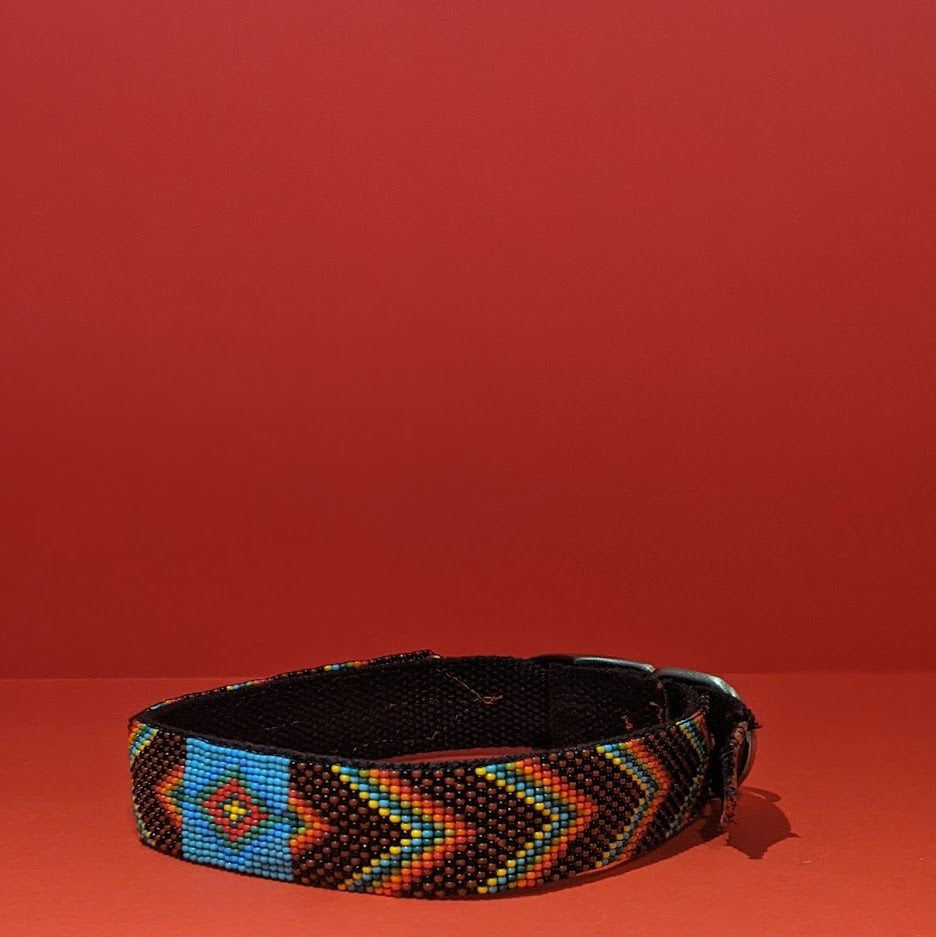 Coral Snake Dog Collar