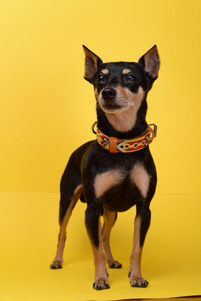Red Woven Collar