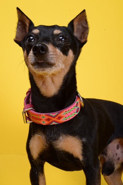 Pink Weaved Dog Collar